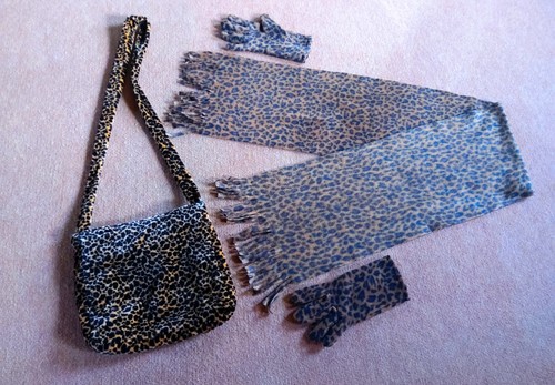 Leo set tasche handschuhe - set,